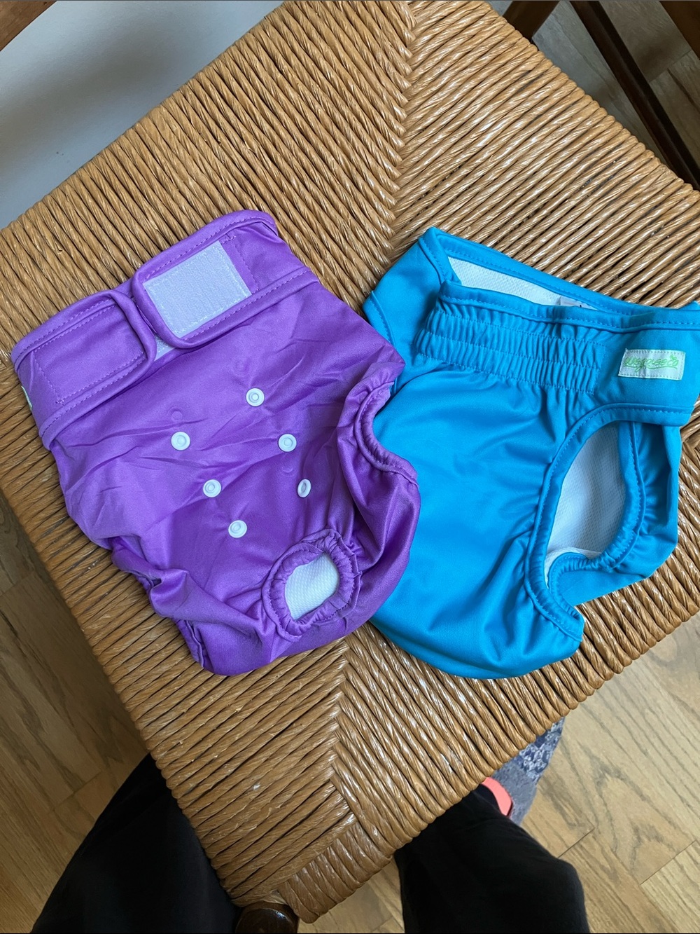 Doggie Diapers